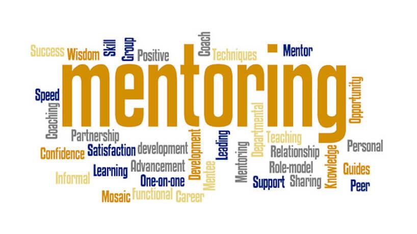 Mentoring program